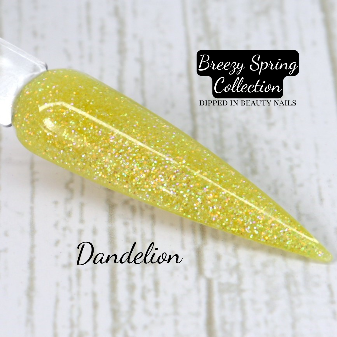 Dandelion