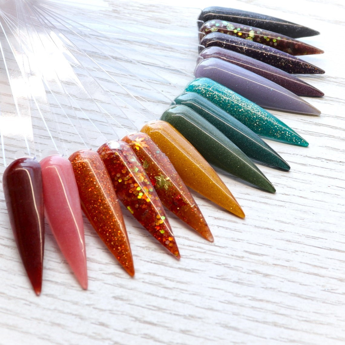 Autumn Harvest Collection
